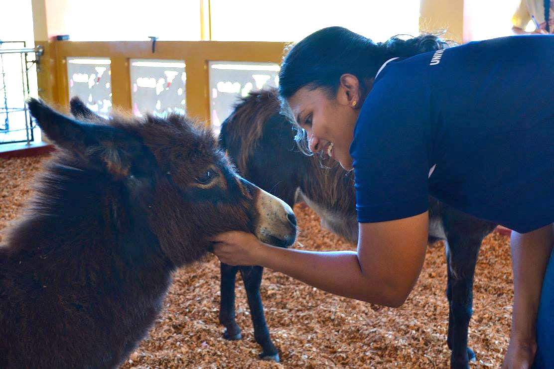 Dr. Ruwini Rupasinghe studies One Health with animals from burros to cats.
