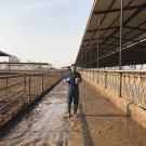 When Dr. Tapakorn Chamchoy began looking into programs that would give him solid training in statistical analysis and diagnostic test evaluation, he couldn’t imagine that would involve visiting California dairy farms to obtain fecal slurry samples. But that’s where his Master of Preventive Veterinary Medicine (MPVM) degree took him.