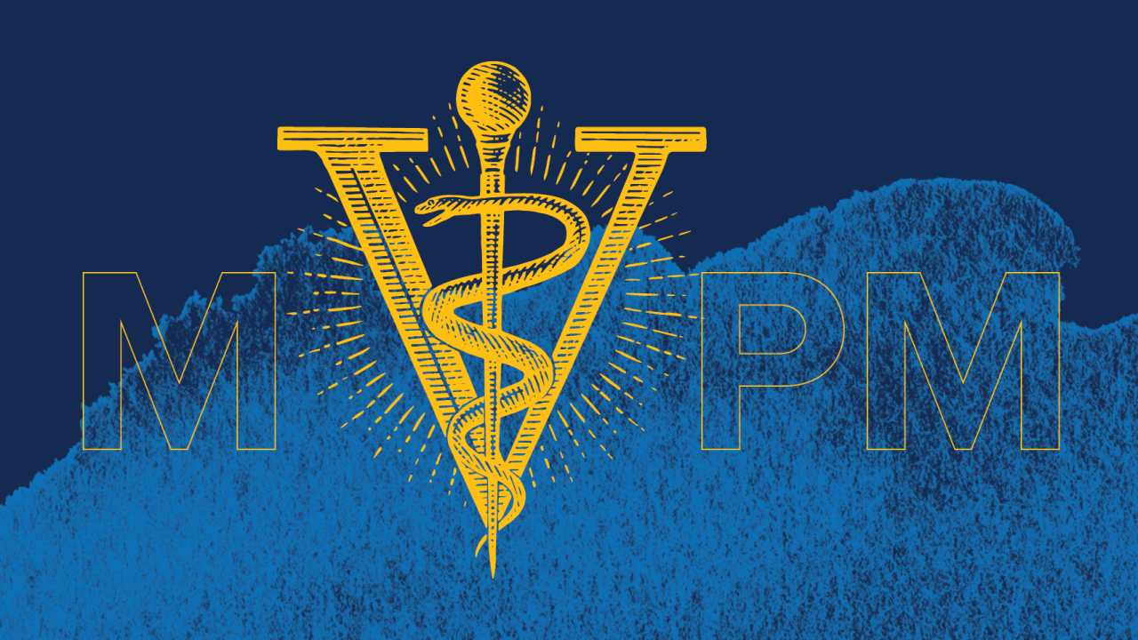 placeholder image shows a blue background with the Rod os Asclepius and the letters "mpvm"