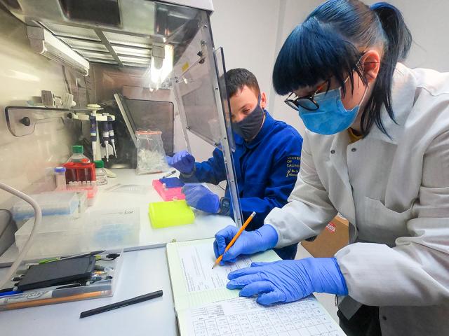 Two MPVM candidates in a lab.