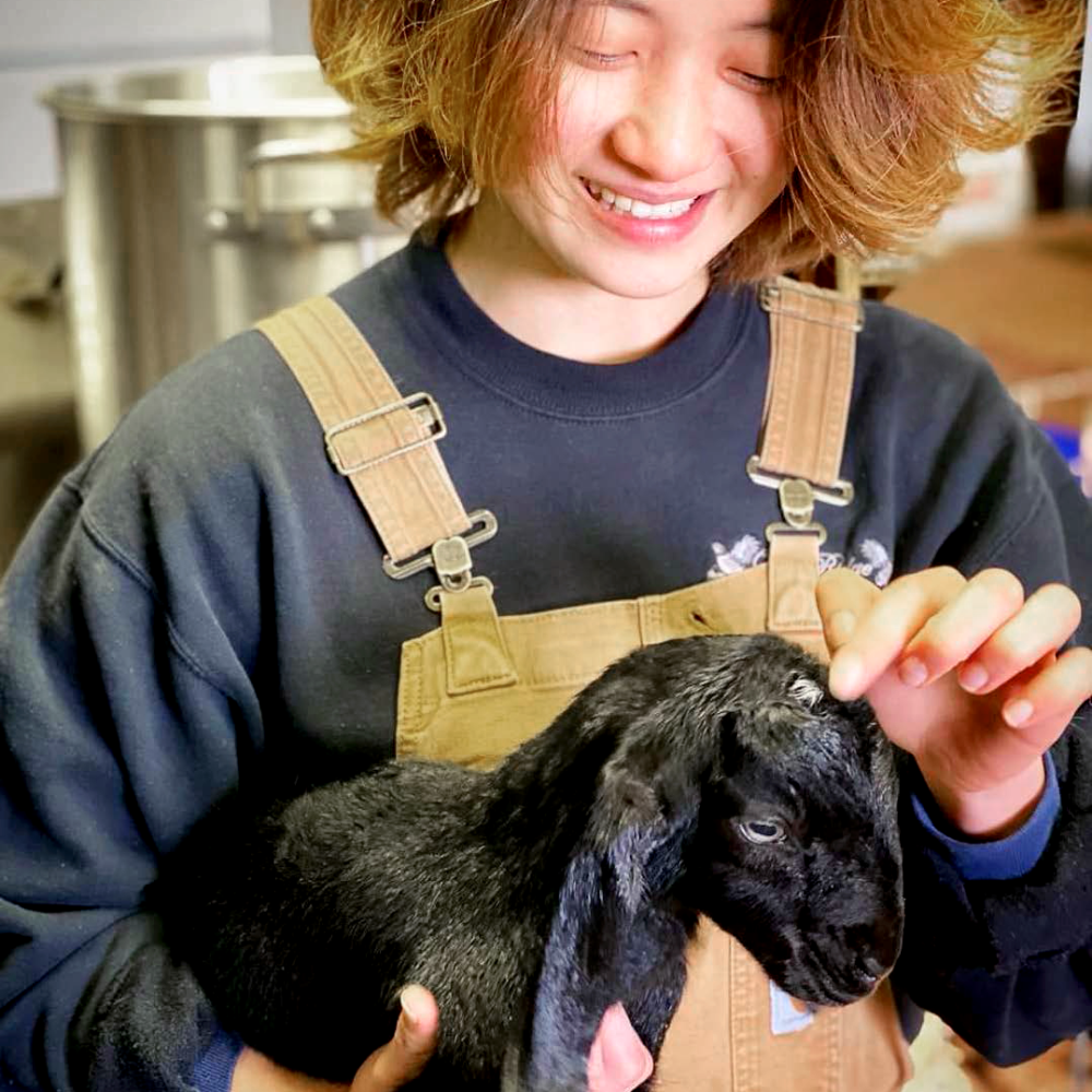 A vet student holding a young sheep.