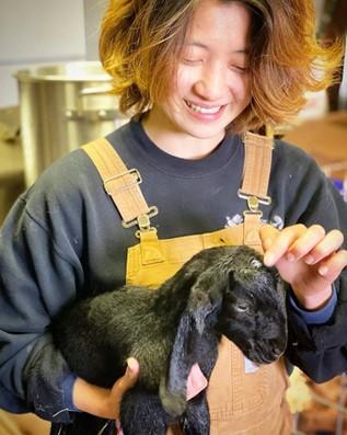 Person holding a goat.