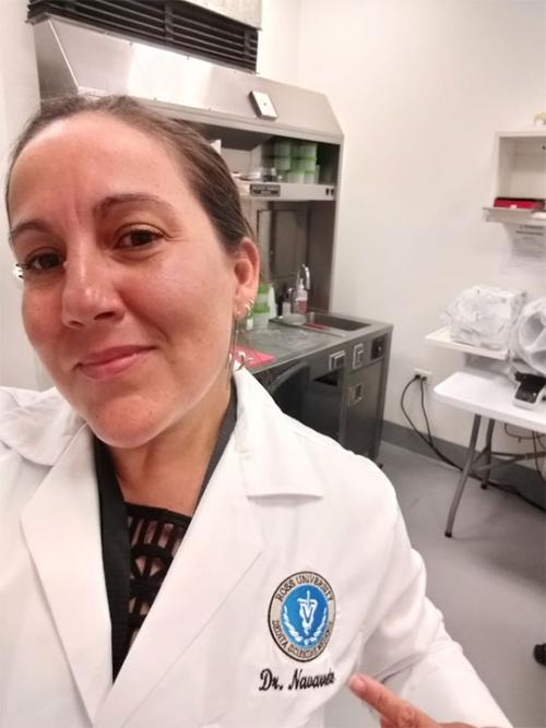 Dr. María José Navarrete Talloni