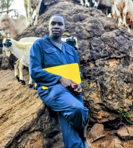 Person sitting on rock with goats in the background.
